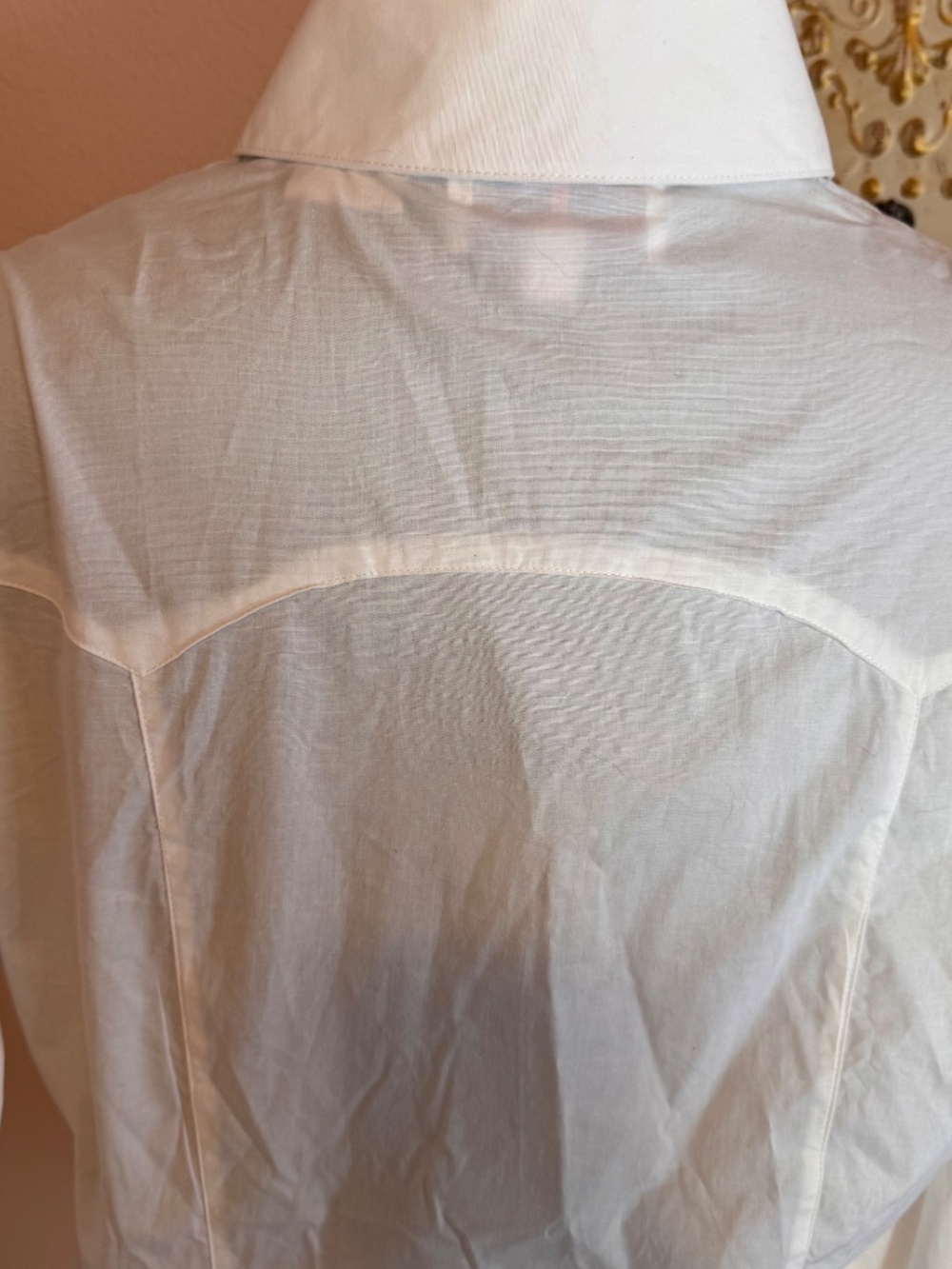 Western Cowgirl Rodeo Prairie Panhandle Women's Cotton Shirt Pearl Snaps XL - Picture 6 of 13